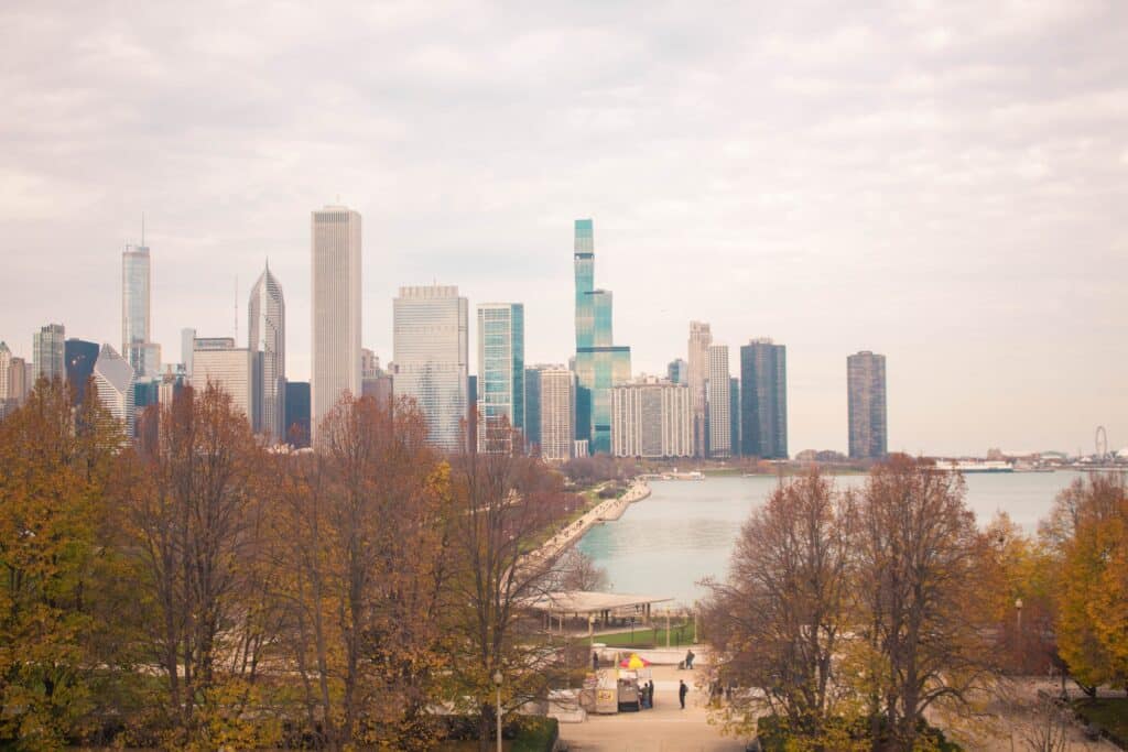 Image of the Chicago skyline in the fall with a grey sky and trees without leaves.