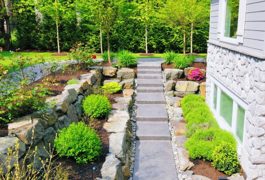 Image of a large landscaped back yard