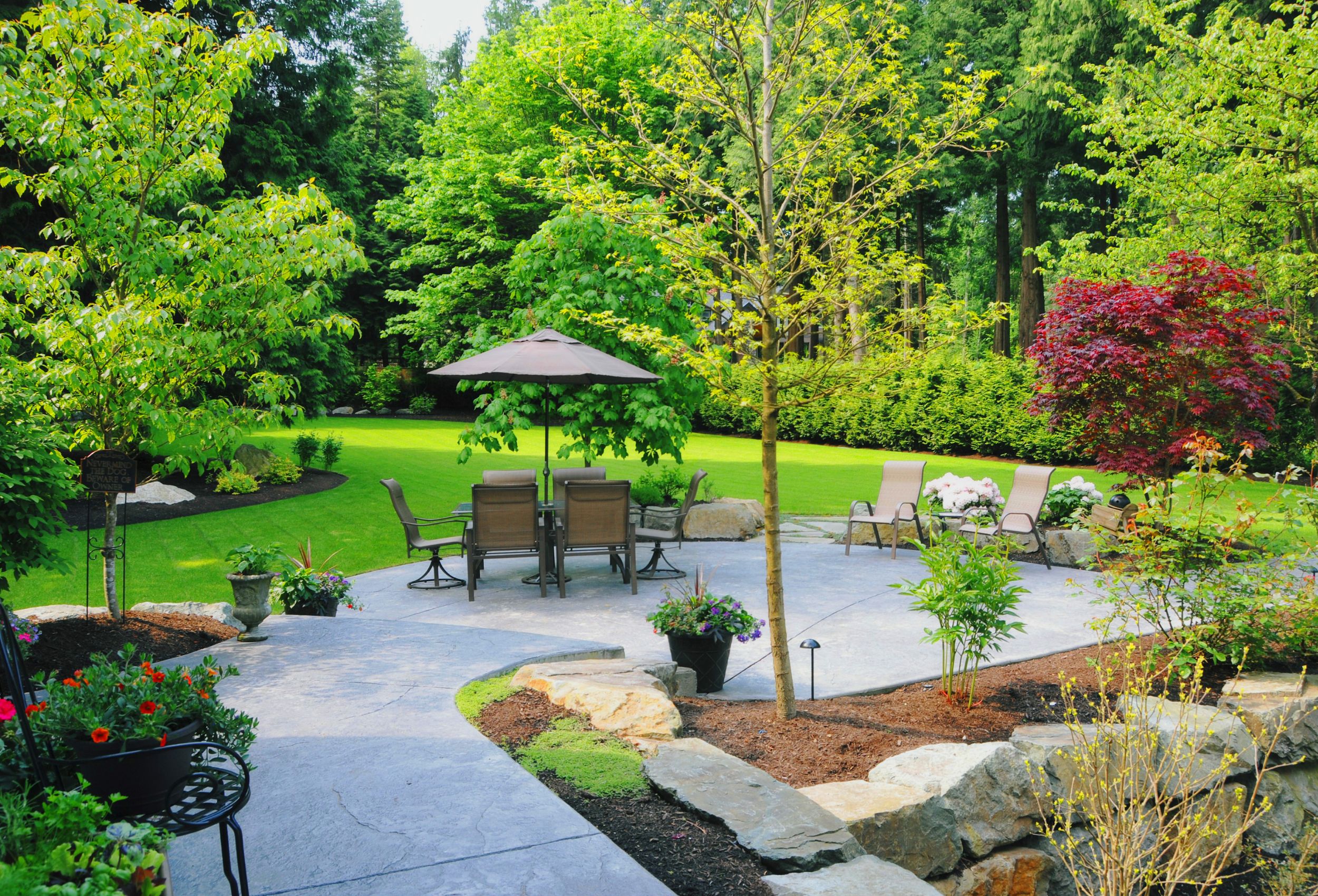 image of a backyard and patio